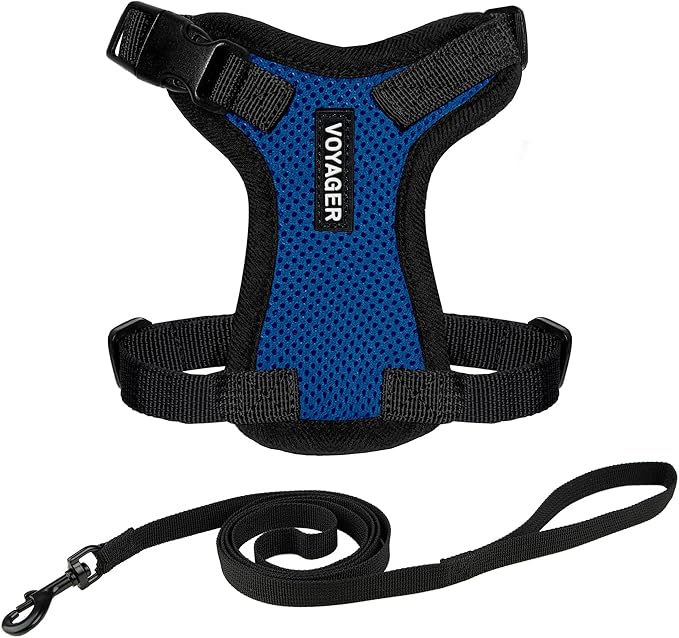 Voyager Escape-Proof Step-In Lock Cat Harness & 5ft Neoprene-Handle Leash Set by BestPetSuppliesLLC