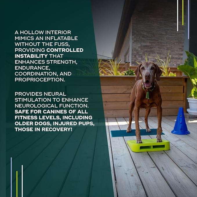 FitPAWS Balance Ramp | Dog Agility Equipment - Image 5