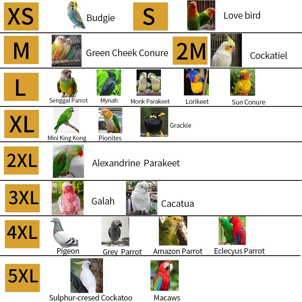 Bird Flight Harness Vest, Parrot Flight Suit with Leash for Parakeets, Bird Flying Clothes with Rope and Handle for Outdoor Activities Training, Anti Bite (XS)