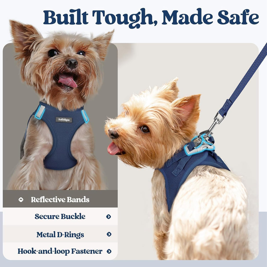rabbitgoo Dog Harness Small Sized and Leash Set, Step-in Puppy Pet Vest