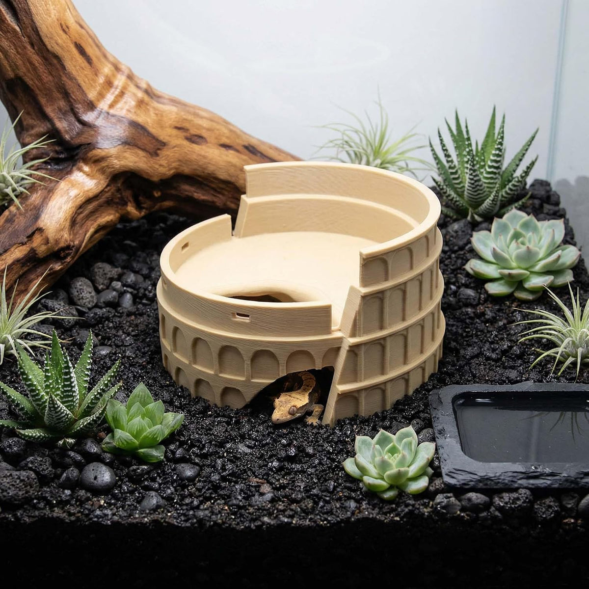Reptile Basking Platform and Habitat Decor Lizard Hideout Cave and Climbing Ramp 3D Printed Roman Colosseum for Leopard Gecko, Bearded Dragon, and Small Amphibians