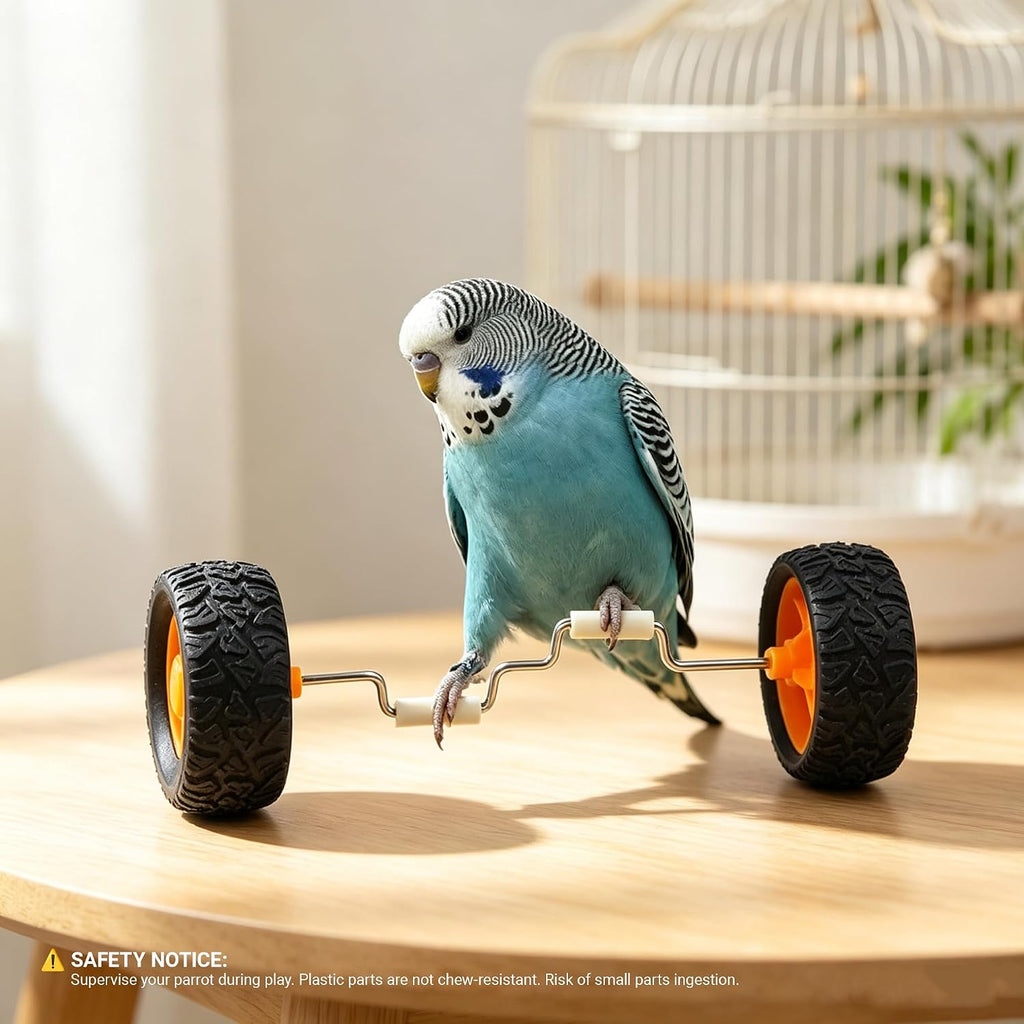 Parrot Training Toys Set 3 Pack Progressive Trick Skateboard Props