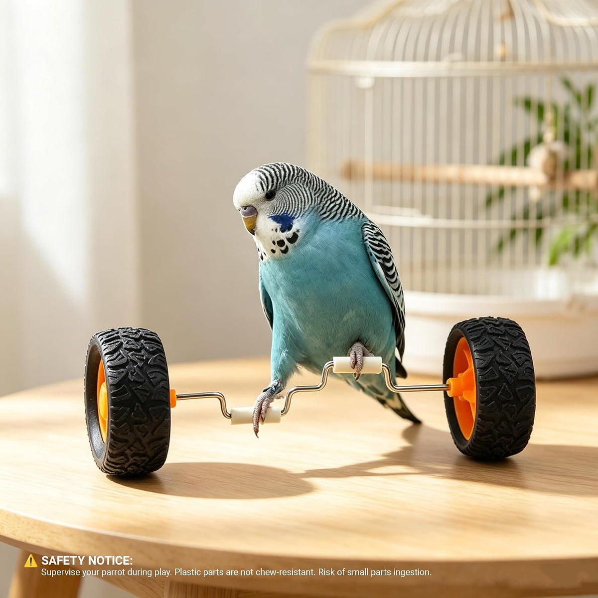 Parrot Training Toys Set 3 Pack Progressive Trick Skateboard Props