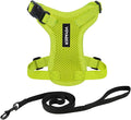 Voyager Escape-Proof Step-in Lock Cat Harness & 5ft Neoprene-Handle Leash Set by BestPetSuppliesLLC