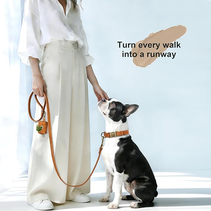 Didog Soft PU Leather Dog Collar, Stylish Quick Released Dog Collars - Image 4