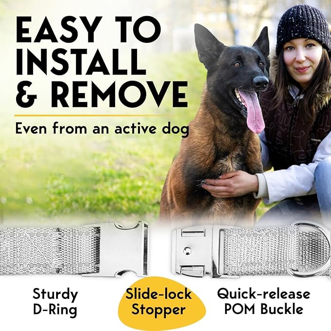 PetJett Prong Collar for Dogs - Image 5