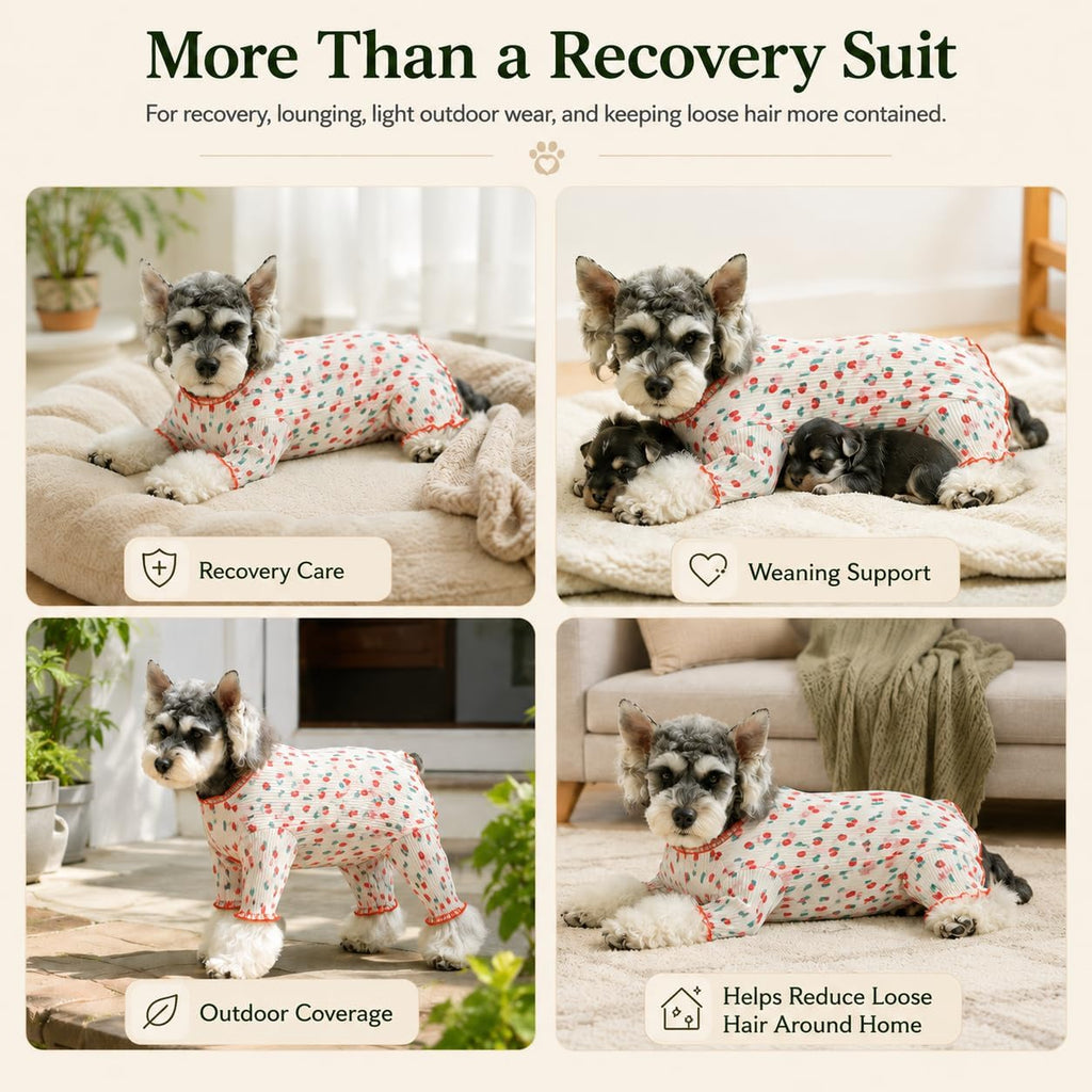 Kukaster Dog Onesie for Female Male Dogs, Breathable Stretchy Recovery Suit Shirt, Cone Alternative to Prevent Licking After Surgery for Small Medium Dogs, Cherries-S