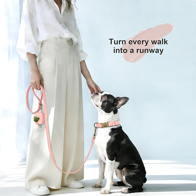 Didog Soft PU Leather Dog Collar, Stylish Quick Released Dog Collars - Image 4