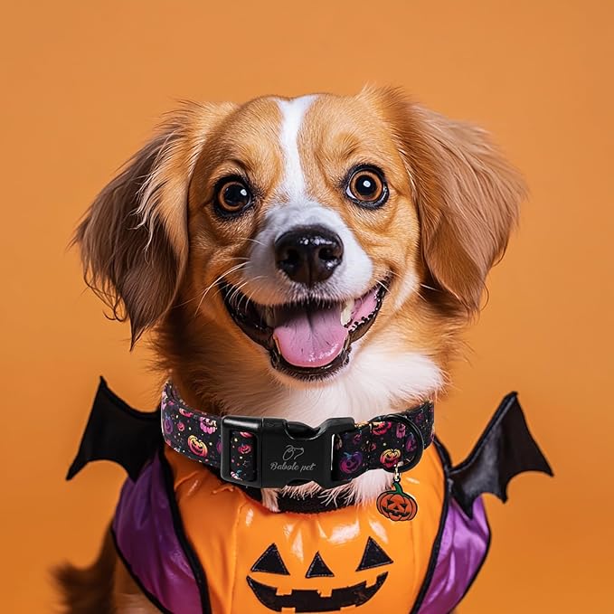 Halloween Dog Collar Spooky Fun Pumpkin Puppy Collar - Image 5