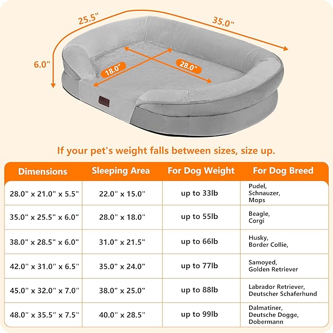 Dwanton Orthopedic Dog Bed for Medium Dogs - Image 4