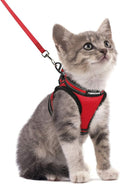 rabbitgoo Cat Harness and Leash Set by rabbitgoo