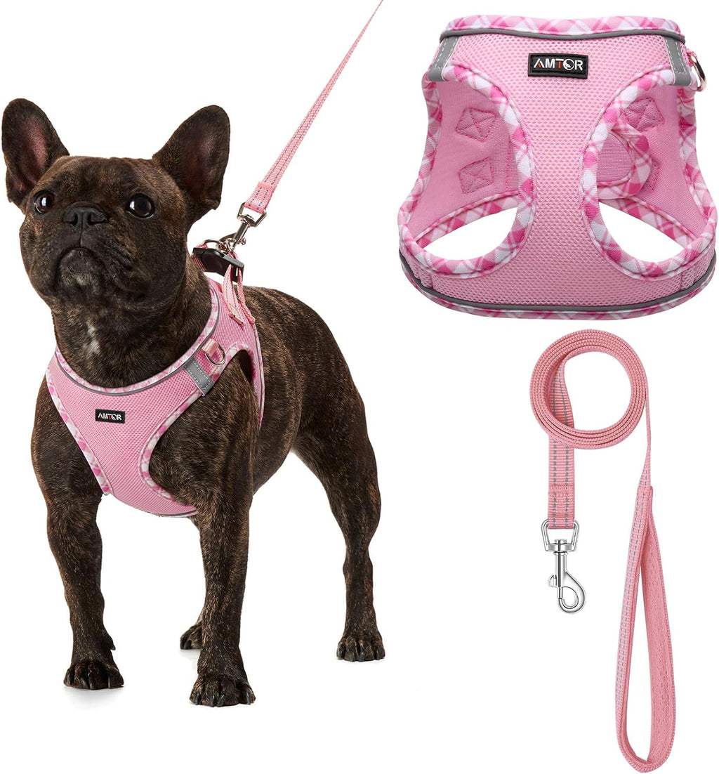 AMTOR Small Dog Harness with Leash Set, No Escape Easy Walk Puppy Harnesses for Training Walking, Step-in Reflective Soft Dogs Vest for XS S Medium Extra-Small Large Sized Dog(Blue/White,XXS)