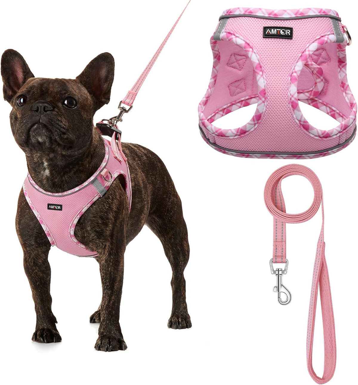 AMTOR Small Dog Harness with Leash Set, No Escape Easy Walk Puppy Harnesses for Training Walking, Step-in Reflective Soft Dogs Vest for XS S Medium Extra-Small Large Sized Dog(Blue/White,XXS)