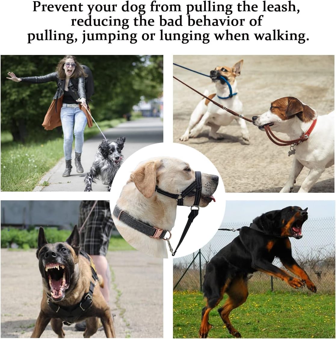 XL Reflective Head Collar and XL Adjustable No Pull Muzzle Leash Bundle for Large Dogs, Effective Dog Training Tools to Easy Control on Walks