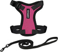 Voyager Escape-Proof Step-in Lock Cat Harness & 5ft Neoprene-Handle Leash Set by BestPetSuppliesLLC