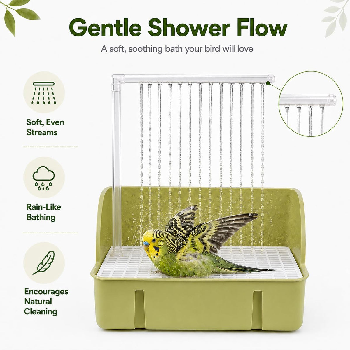 Automatic Bird Bath with Pump