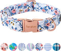 Unique style paws Dog Collar Metal Buckle Red Rose Puppy Collar Flower Gift by Uniquestylepaws