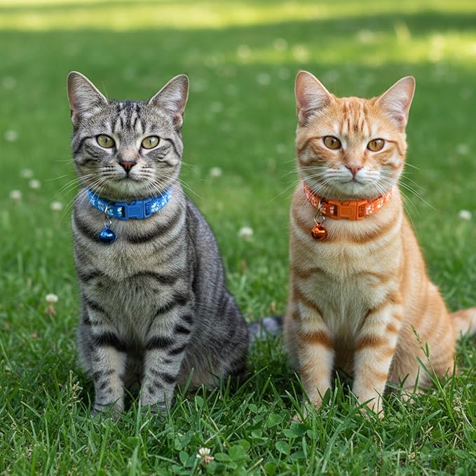 Breakaway Cat Collars with Bells, Mixed Colors - Image 8