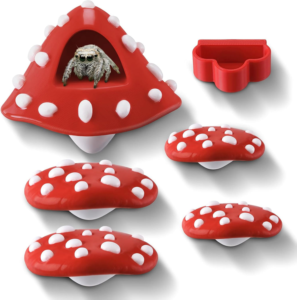 6 Pcs Jumping Spider Enclosure Accessories with Magnetic Mushroom Hide