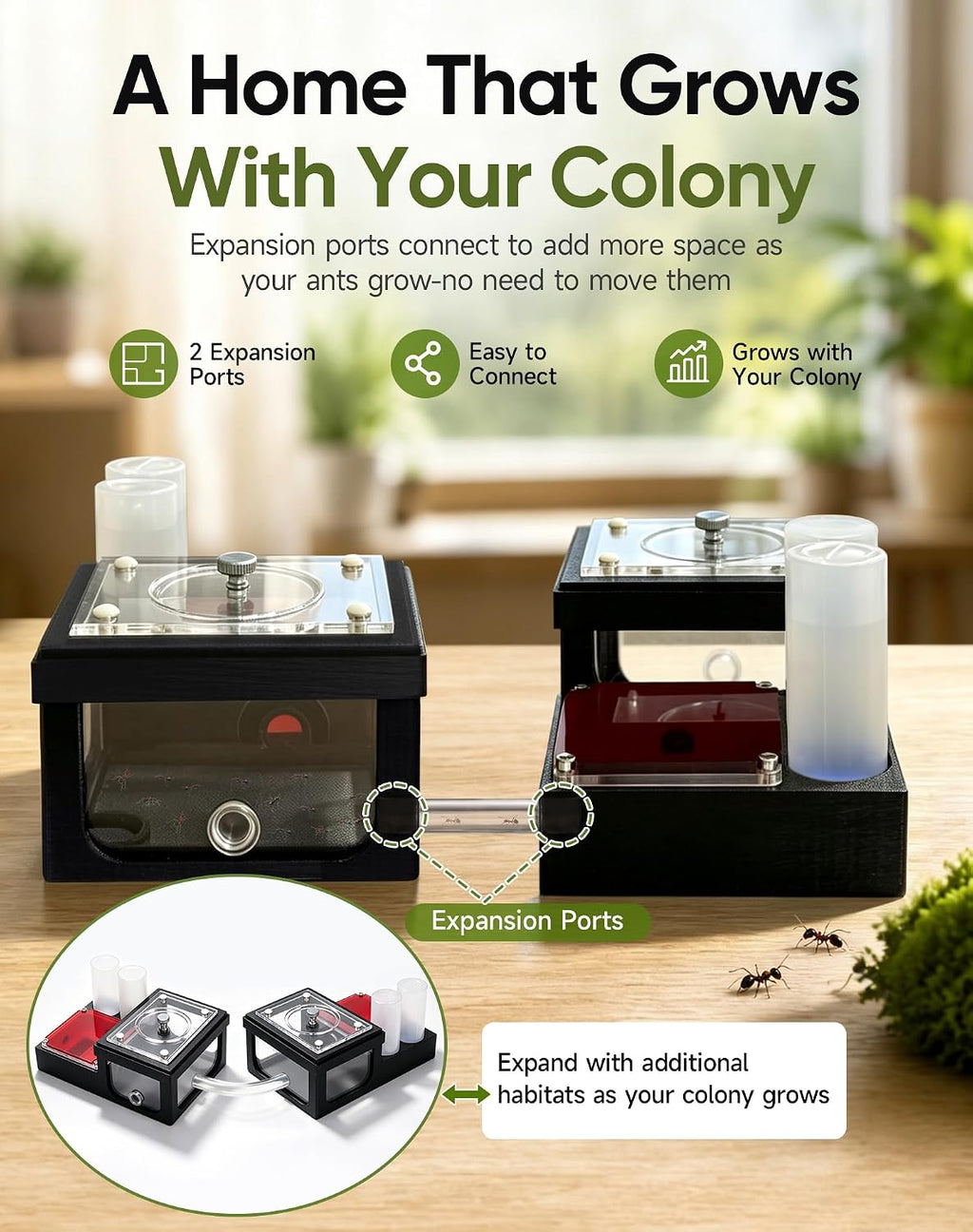 Ant Nest Habitat with 2 Expansion Ports, External Independent Water Tower, Breathable Mesh Base for Improved Airflow for Ant Observation, Indoor Ant Keeping & Education