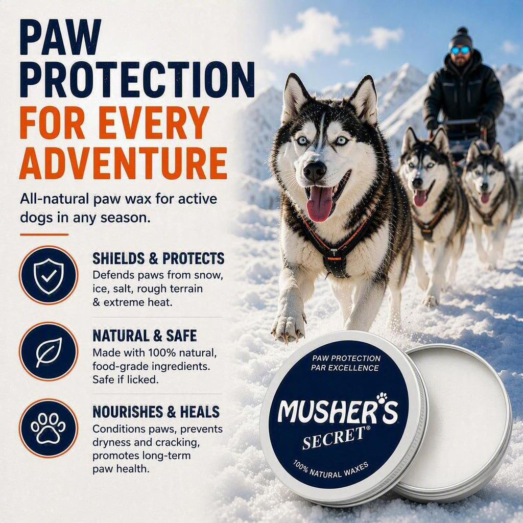 Musher's Secret All-Natural Dog Paw Balm, All-Season Paw Protector, 60 gr