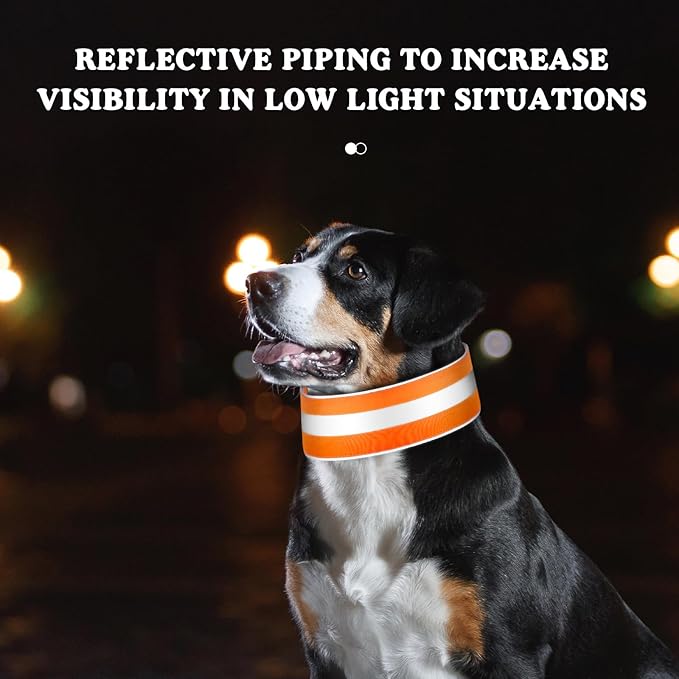 Paterr 2 Pcs Reflective Dog Collar High Visibility Adjustable Pet Collars - Image 2