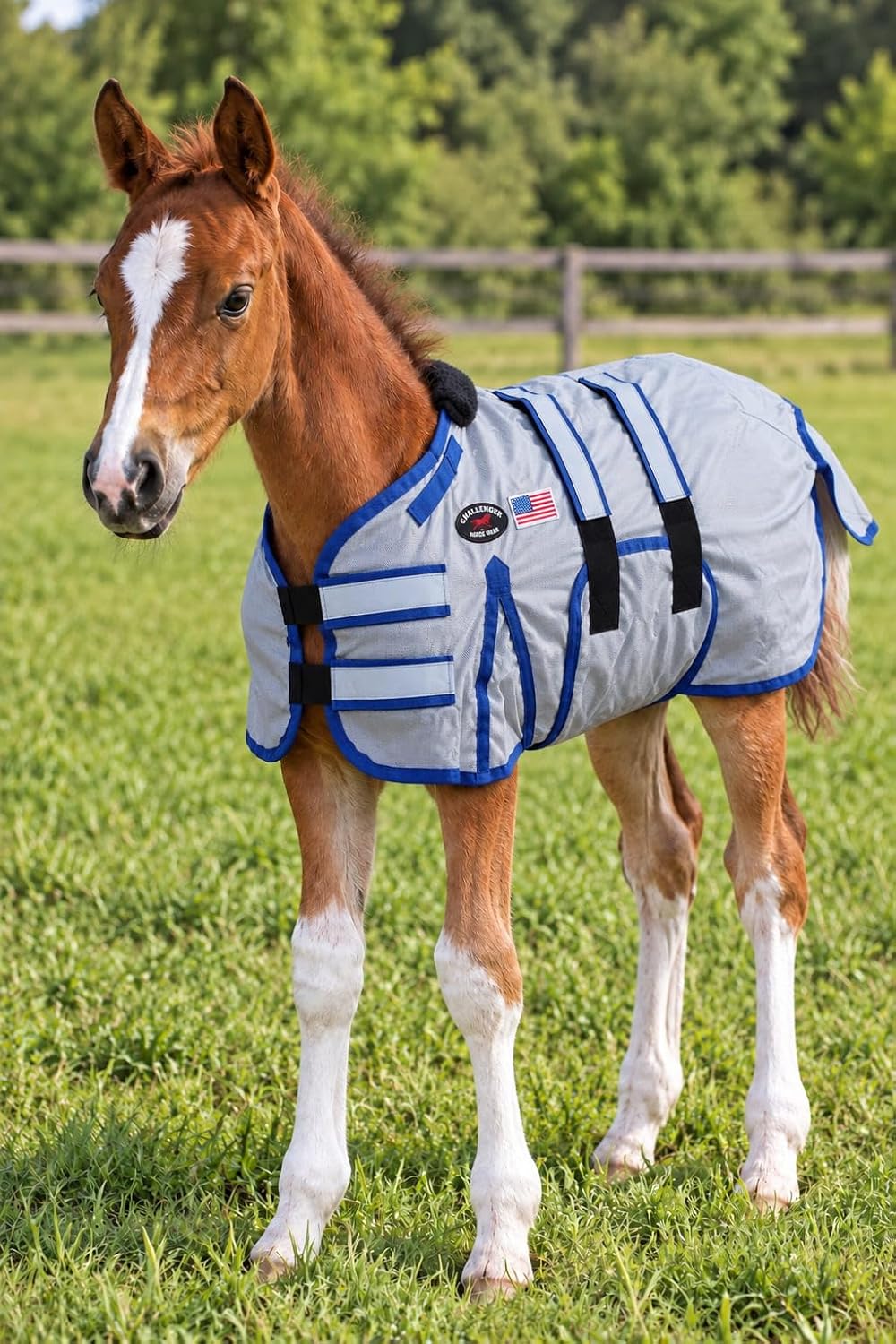 CHALLENGER 1680D Miniature Weanling Donkey Pony Horse Foal Winter Blanket