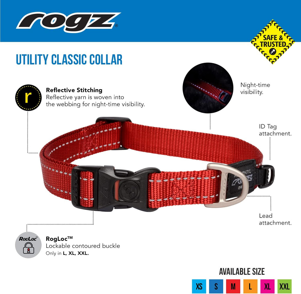 Reflective Dog Collar for Medium Dogs, Adjustable from 12-17 inches, Turquoise