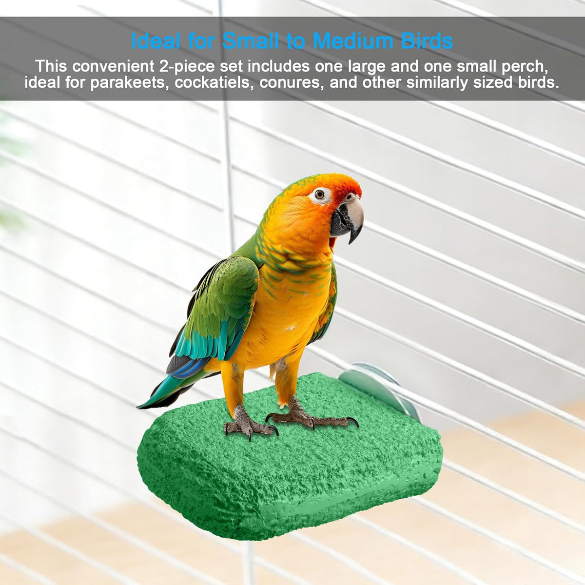 2Pcs Beak Grinder & Nail Trimming Perch for Birds - Large & Small Flat Perch with Metal Bolts, Budgie Cage Accessories for Parakeets Cockatiels Conures