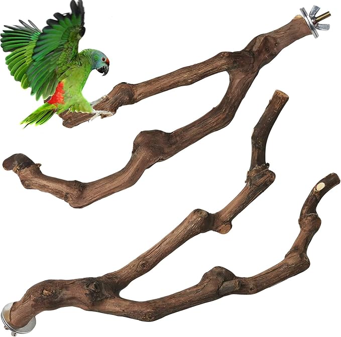 PINVNBY Natural Parrot Perch Bird Stand Pole Wild Grape Stick Paw Grinding Fork by PINVNBY