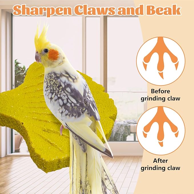 3 Pcs Parrot Perch Resin Bird Beak Grinding Stone Leaf Shape Perch Stand Foot - Image 5