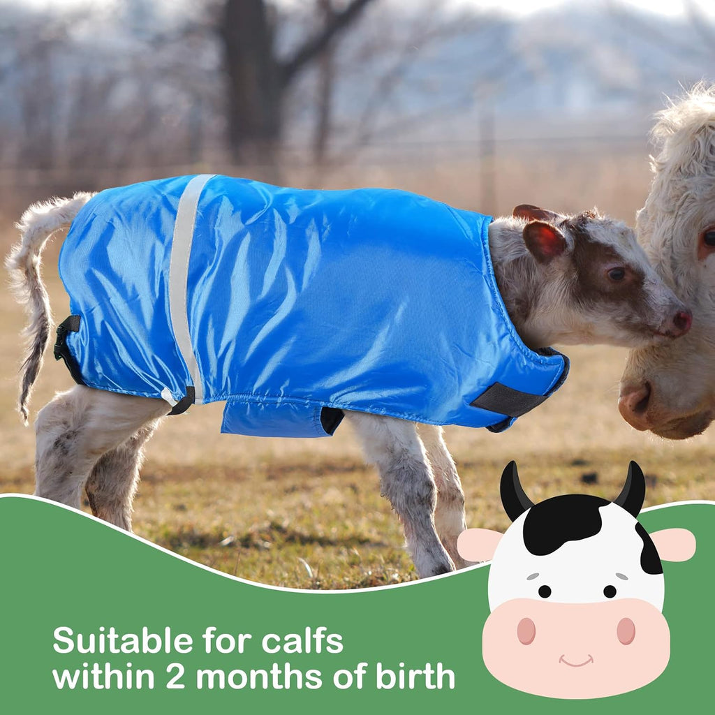 4 Pcs Calf Blanket Coat Jacket Waterproof Windproof Warm, Blue