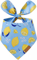 Luxury Double-Layer Dog Birthday Bandana – Handmade, Silk-Soft Polyester by Qxsnuvvlg