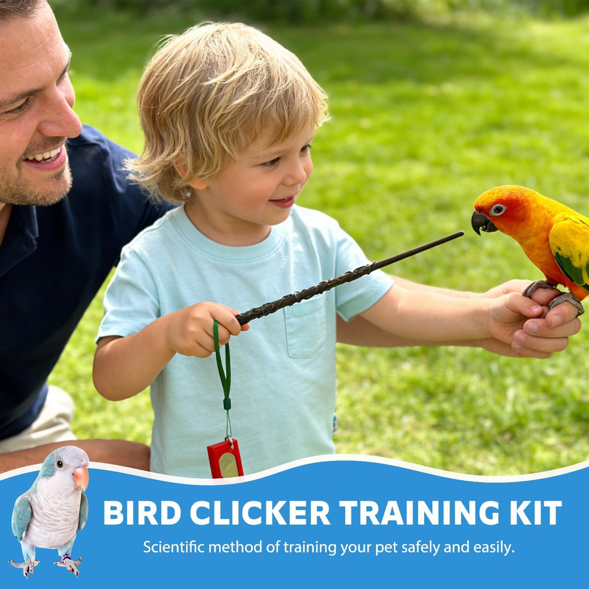 Parrot Training Clicker with Target Stick, Getting Started Bird Clicker Training Kit, All Bird Breeds Training Stick Foster Discipline and Behavior Training, for Parrots Birds Lovers