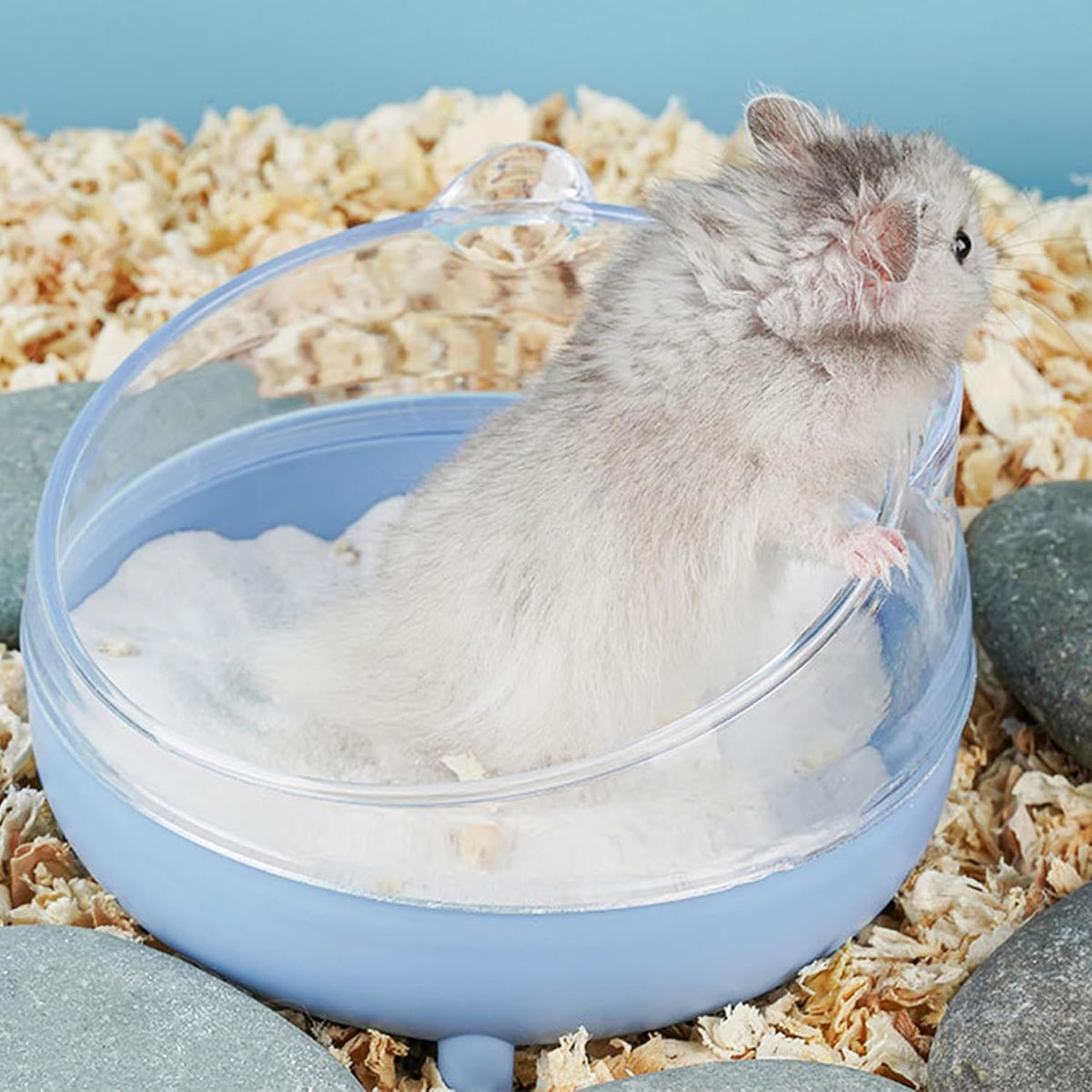 Meow&Woof 2 Hamster Sand Bath Container, Large Sandbox Toilet Gerbil Batheoom, Tiny Chinchilla Dust Bathtub Sand Bath Box for Hamster Cage Accessories 6.5 Inch 2 Pack Set