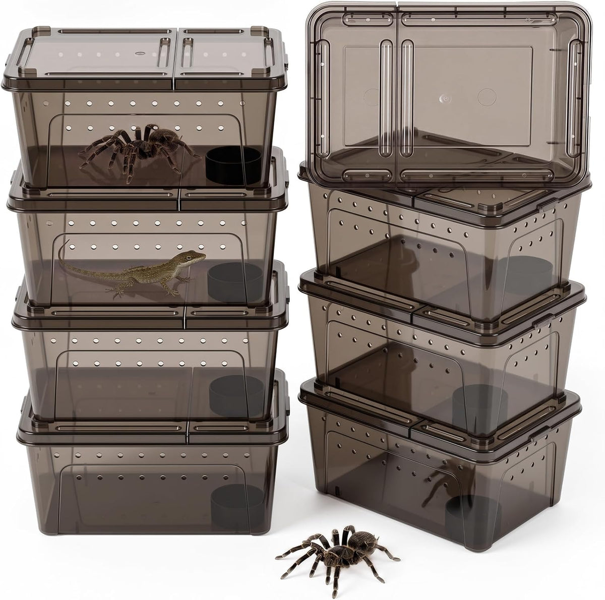 8 Pcs Reptile Breeding Box, Vent Holes, Clear, 5.9 x 3.9 x 2.5 Inch