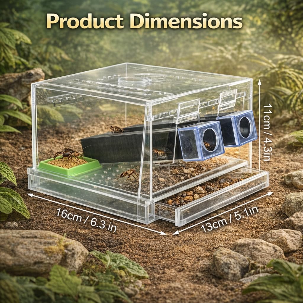 Acrylic Cricket Keeper with Tubes–Reptile Feeding Cricket Keeper with Feces Layer & Ventilated Lid,Transparent Crickets Enclosure for Observation,Feeder Insect Storage,Includes Food/Water Tubes (L)