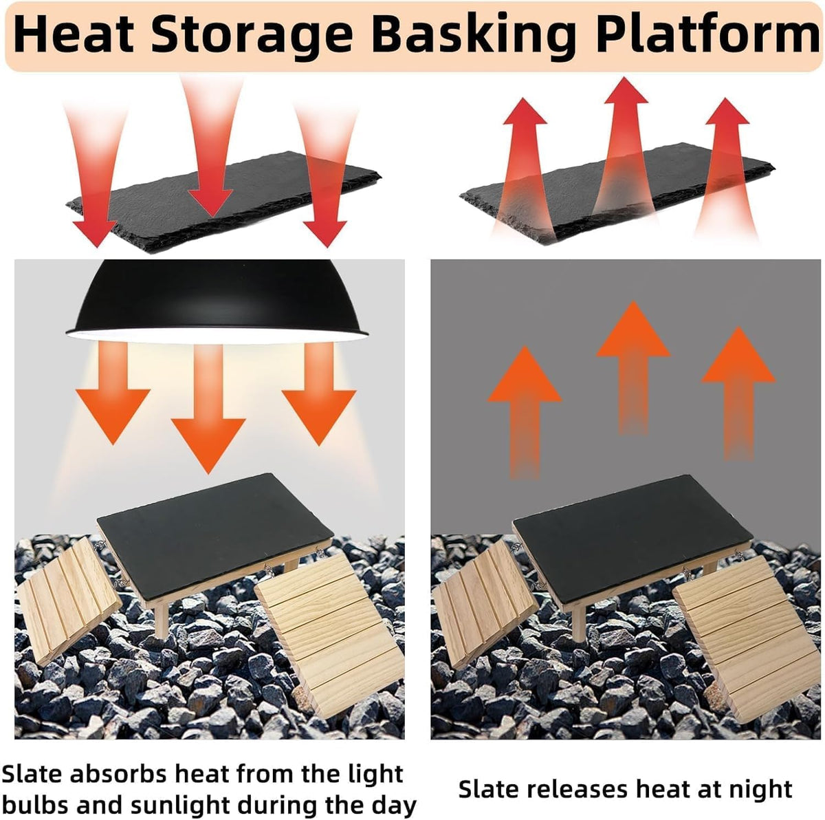 Bearded Dragon Basking Platform with Climbing Ramp & Reptile Rock