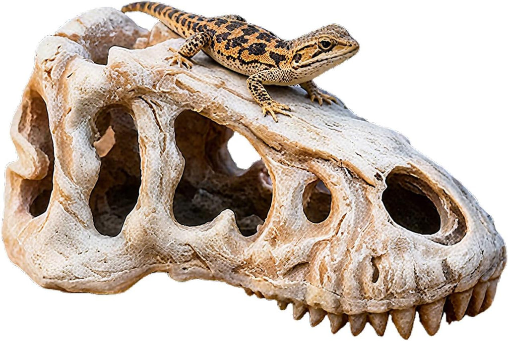 Dinosaur Skull Reptile Basking Platform, Resin Fish Tank & Terrarium Decor for Bearded Dragons, Lizards, Geckos - Aquarium Decor, Tarantula Hide Cave