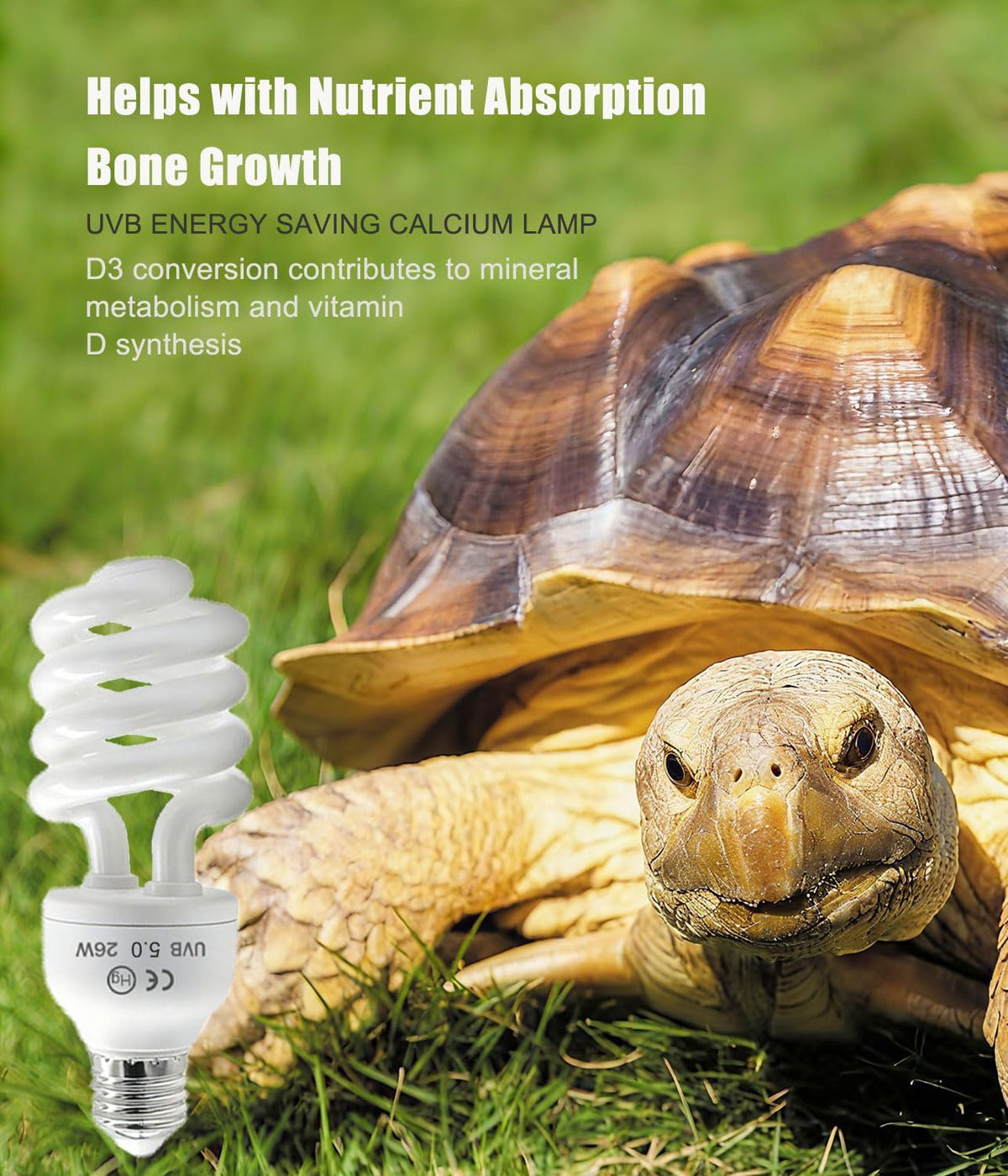 2 Pack E26 5.0 UVA UVB Reptile Light Bulb