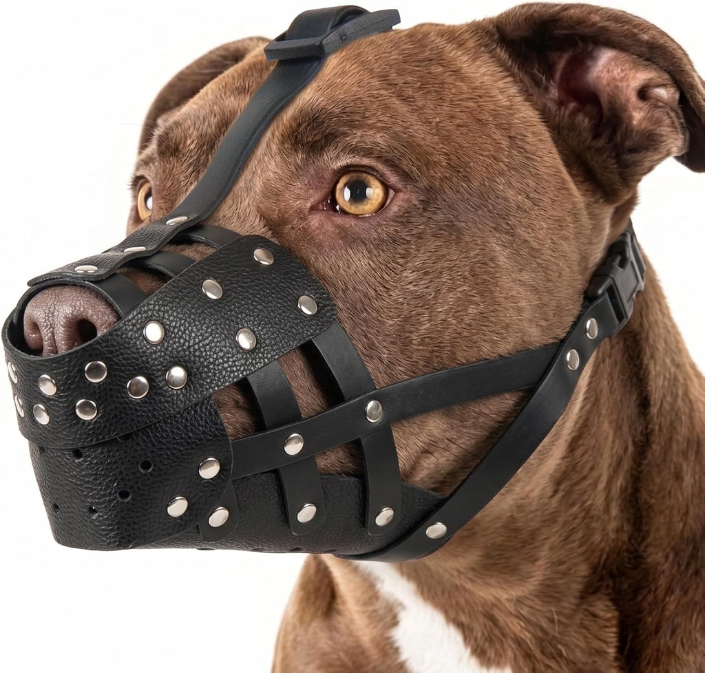 QBLEEV Pitbull Muzzle for Large Dogs, Adjustable Dog Basket Muzzle to Prevent Biting Scavenging, Lightweight & Sturdy Muzzles for Amstaff Staffordshire Terrier German Shepherd in Grooming Training