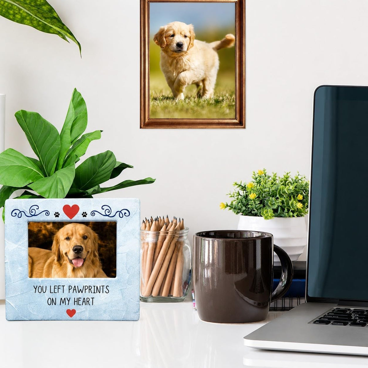 BANBERRY DESIGNS Pet Memorial Picture Frame for Dog or Cat