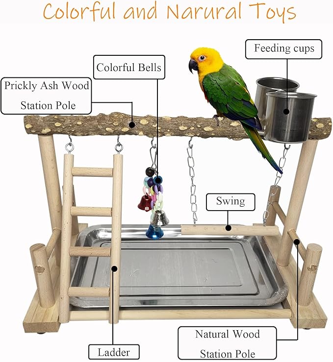PINVNBY Bird Playground Parrot Playstand Birds Play Stand Wood Exercise Perch - Image 5