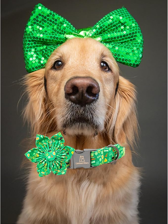 Lionheart glory St. Patrick's Day Dog Collar - Image 5