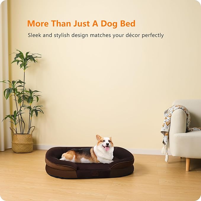 Dwanton Orthopedic Dog Bed for Medium Dogs - Image 9