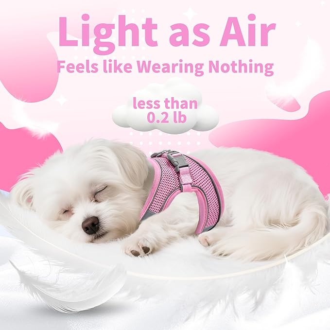 AIITLE Step in Dog Harness and Leash Set - Image 7