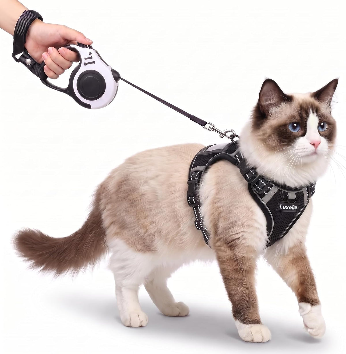 Luxelle Escape Proof Cat Harness with Retractable Leash & Wrist Strap Set