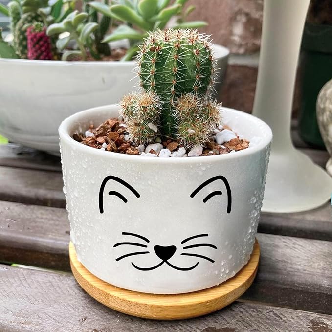 Window Garden Cat Planter Pots, Cat Gifts - Image 6