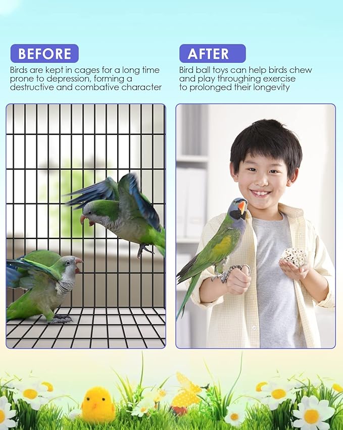Bissap 6PCS Small Parrot Chew Toys, Sola Balls Conure Chewing Foraging Toys - Image 5