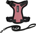 Voyager Escape-Proof Step-in Lock Cat Harness & 5ft Neoprene-Handle Leash Set by BestPetSuppliesLLC